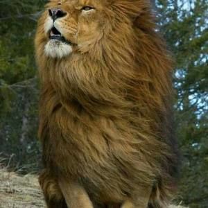 Meet your Posher, Carlos